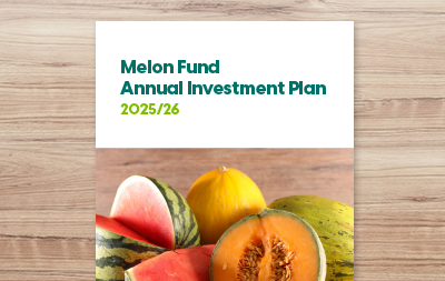 Annual Investment Plan 2025/26